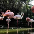 The Sustainable Energy Movement in Coral Springs, FL